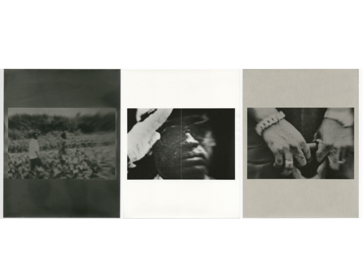 warshadfilm 
tiziano doria
samira guadagnuolo