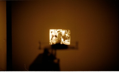 warshadfilm 
tiziano doria
samira guadagnuolo