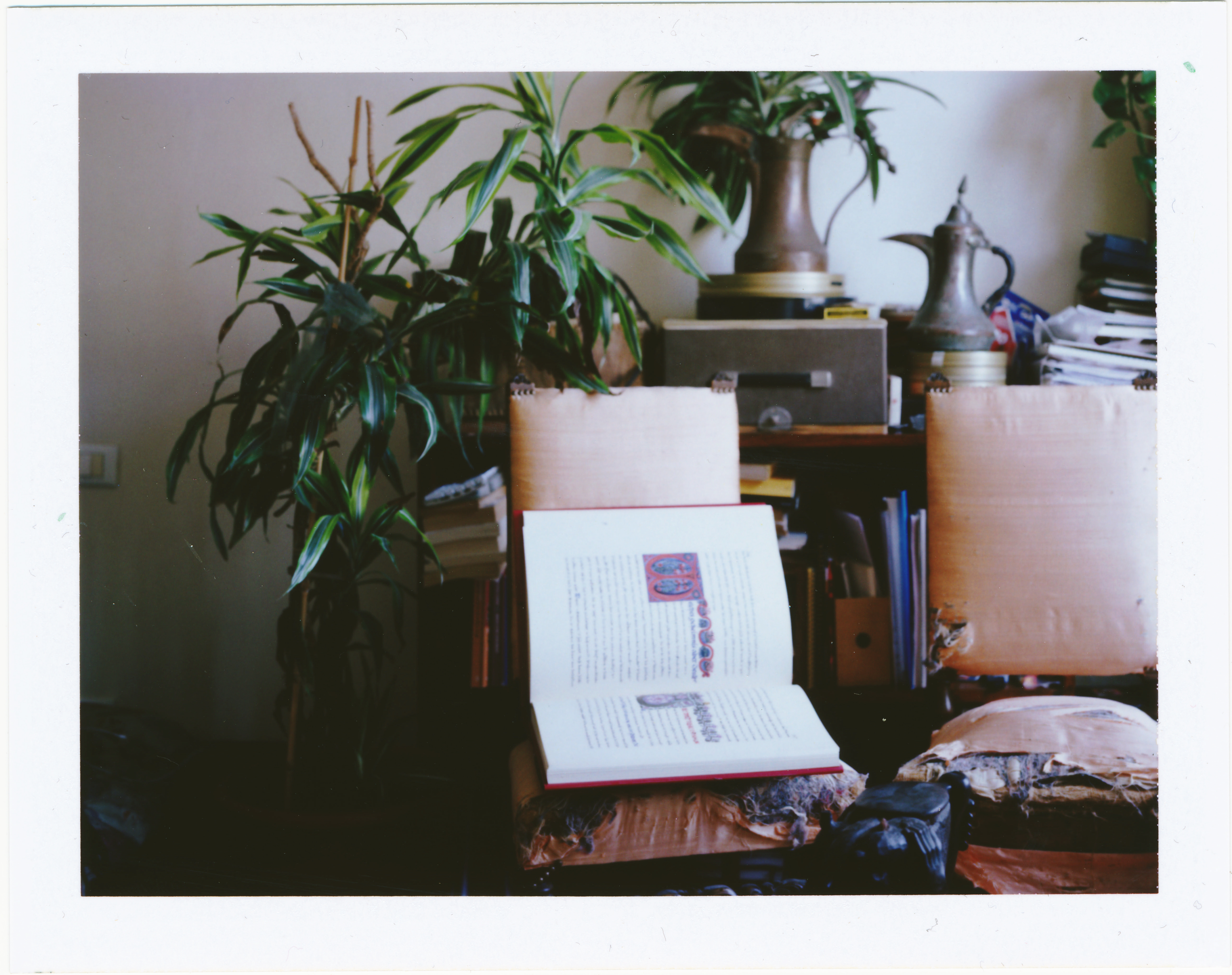 WARSHADFILM tiziano doria samira guadagnuolo labbash