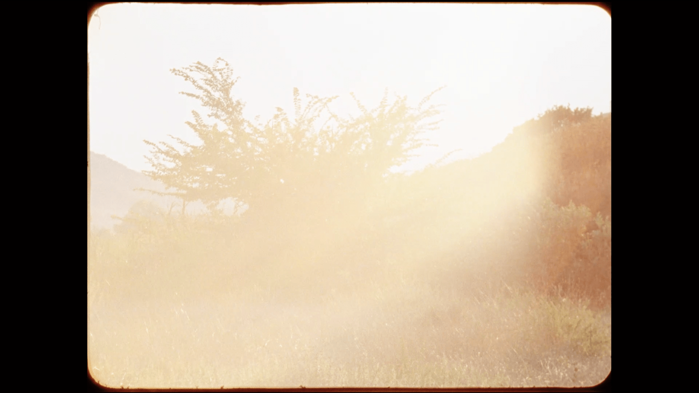 WARSHADFILM tiziano doria samira guadagnuolo labbash