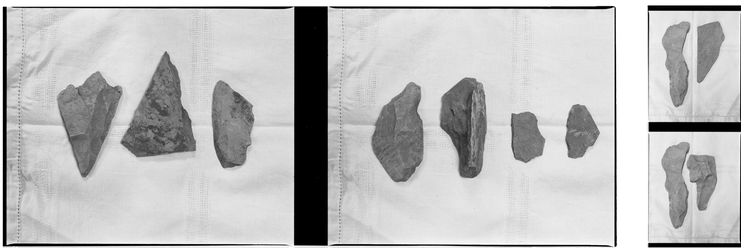 warshadfilm 
tiziano doria
samira guadagnuolo