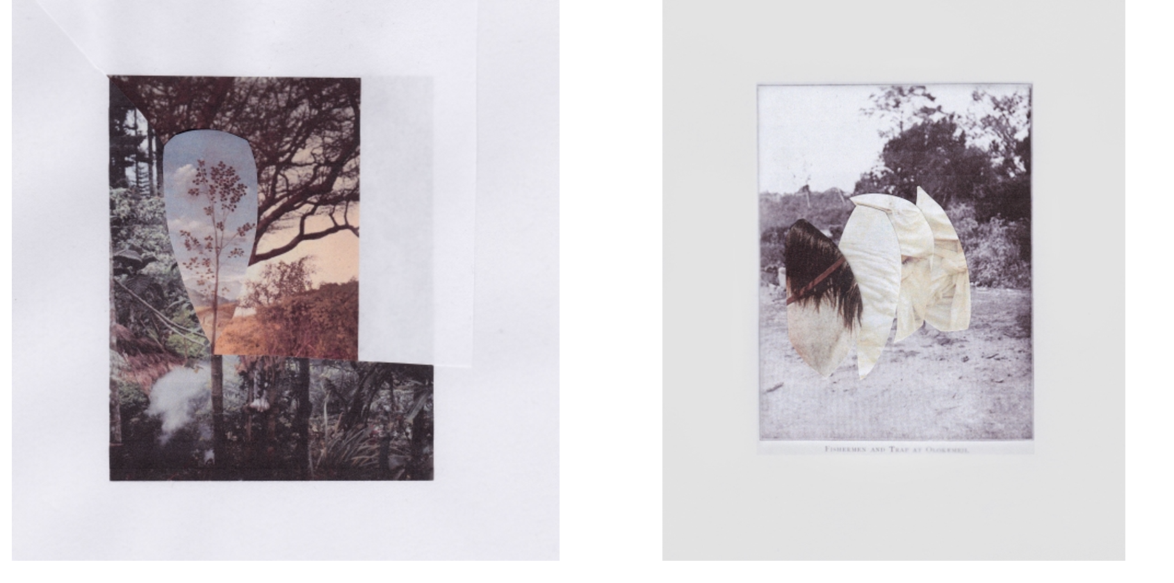 warshadfilm 
tiziano doria
samira guadagnuolo