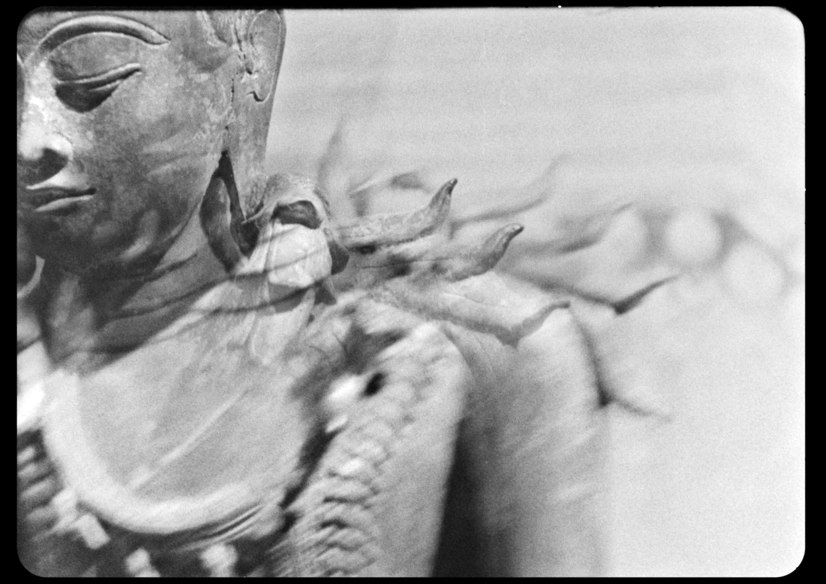 warshadfilm mao samira guadagnuolo tiziano doria