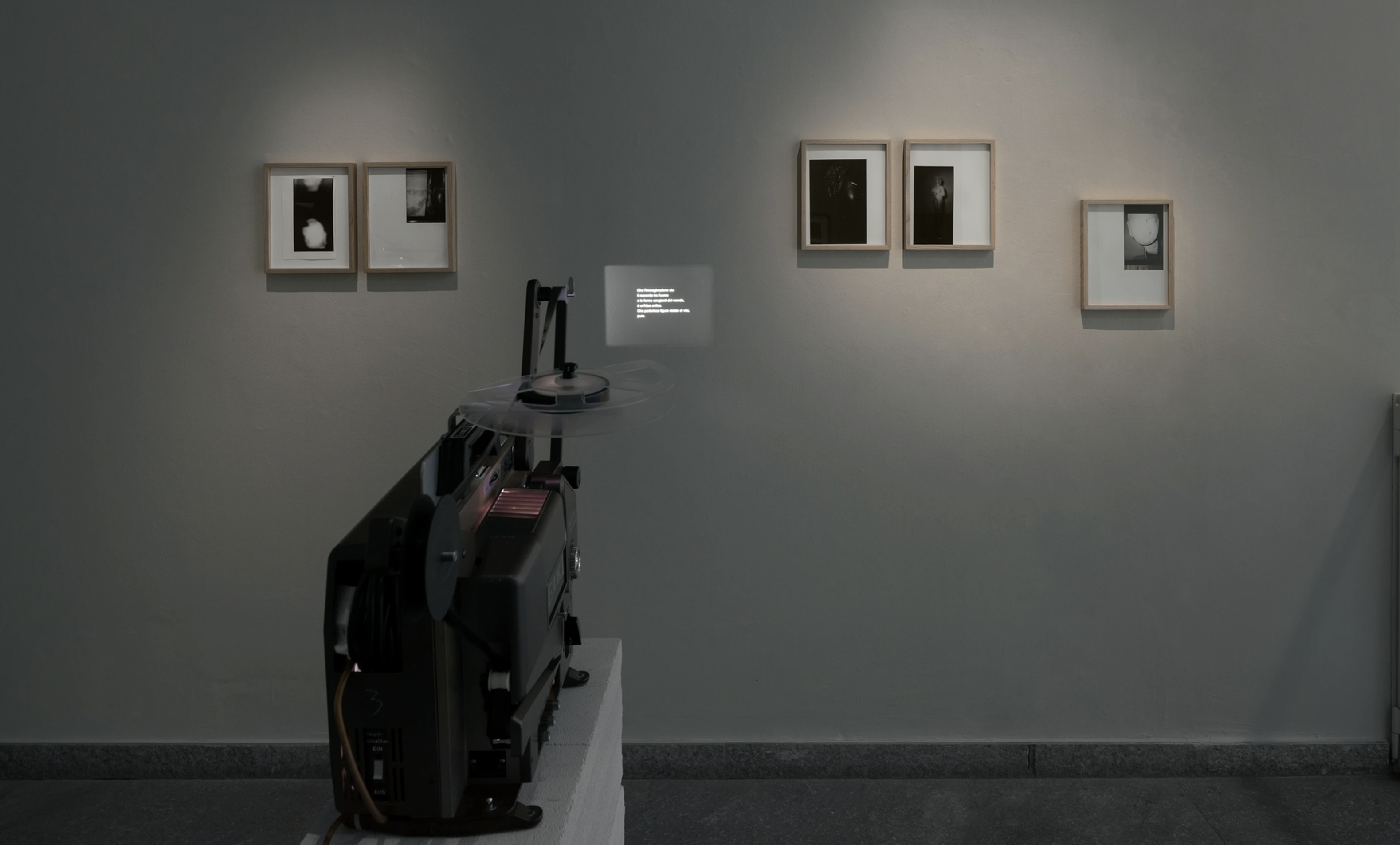 MAO Torino Samira Guadagnuolo Tiziano Doria WARSHADFILM